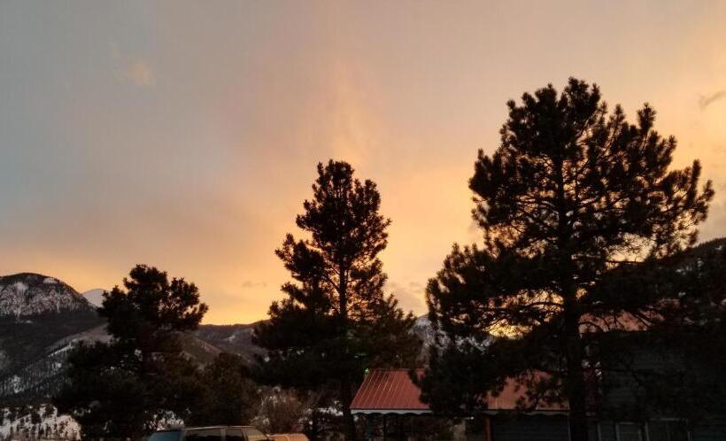 فندق Alpine Moose Lodge