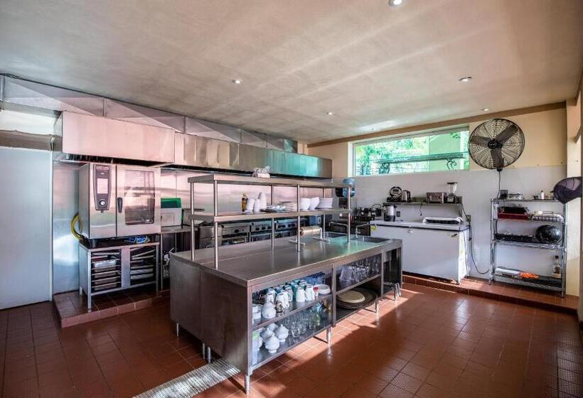 בית מלון כפרי Puerto Vallarta South Shore Luxury Suites