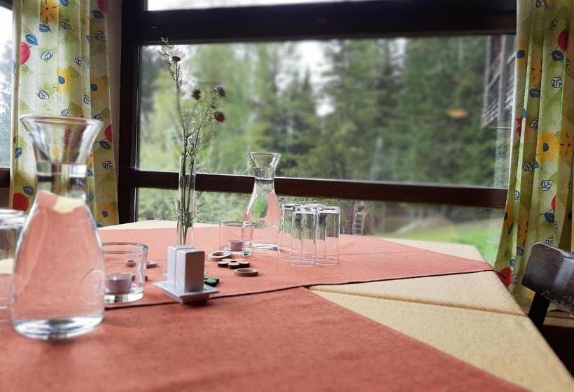 Общежитие Haus Gufl