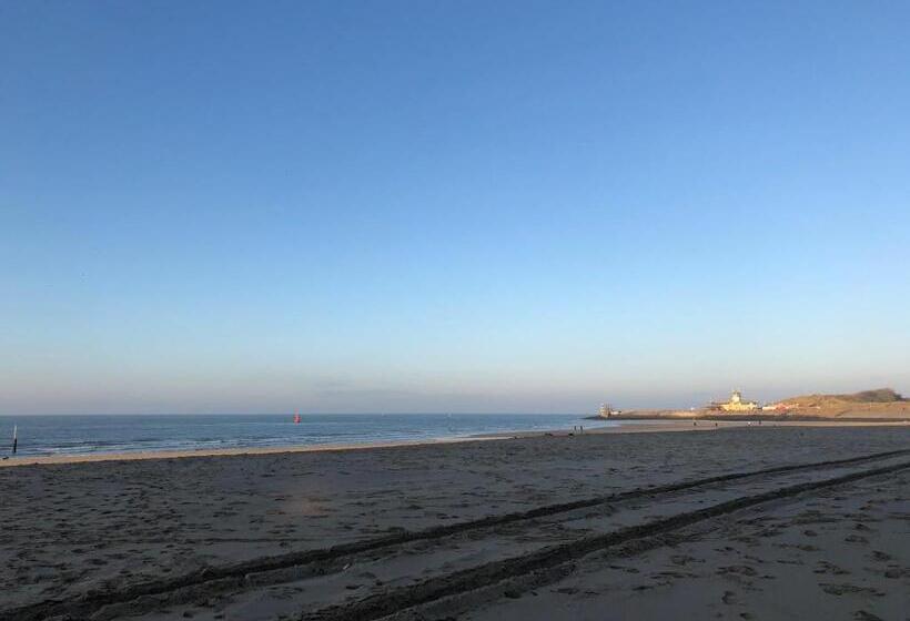 فندق Suites Boulevard 17