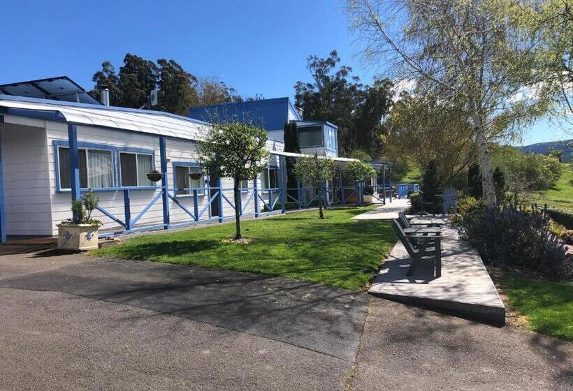 פנסיון Mole Creek Hideaway