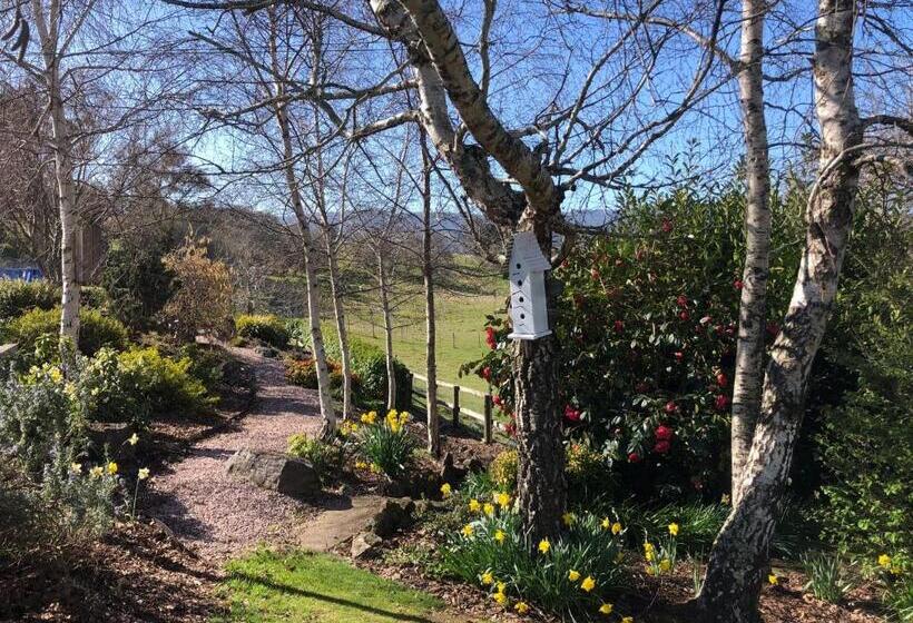 פנסיון Mole Creek Hideaway