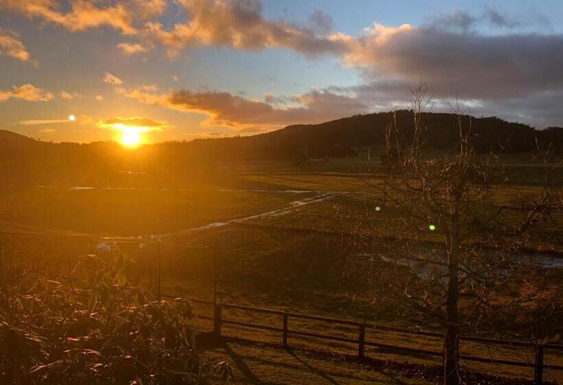 פנסיון Mole Creek Hideaway