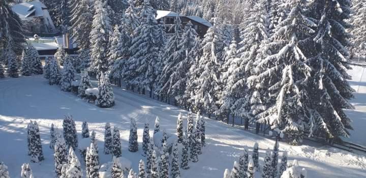 هتل Miraj Restaurant & Sauna & Biliard