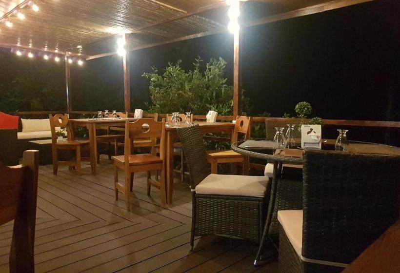 هتل Yellow Tree Suites