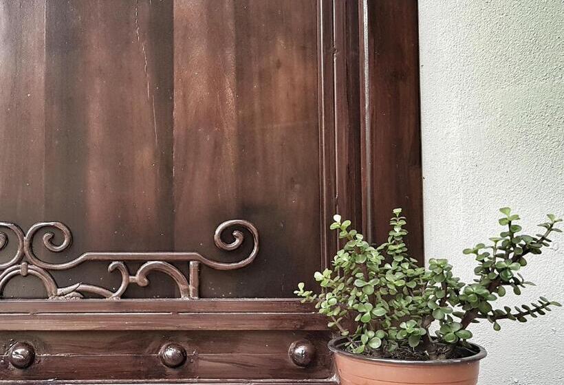 هتل Yellow Tree Suites