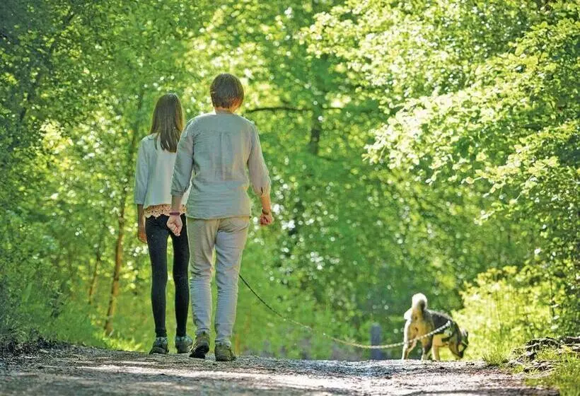 リゾートホテル Sandy Balls Holiday Village