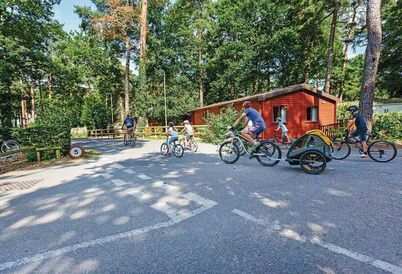 リゾートホテル Sandy Balls Holiday Village