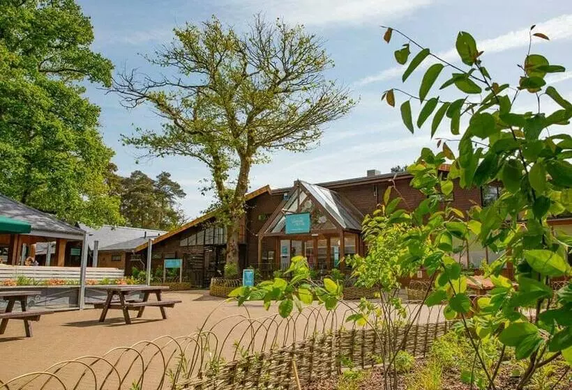 リゾートホテル Sandy Balls Holiday Village