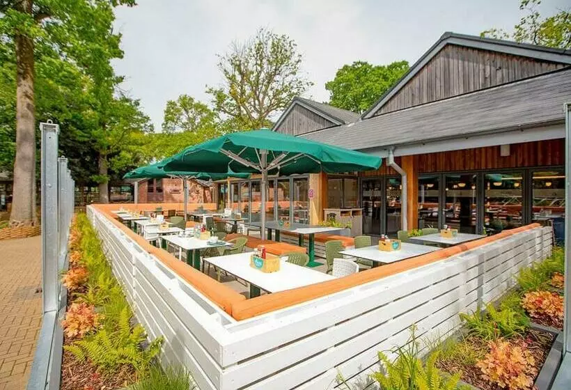 リゾートホテル Sandy Balls Holiday Village