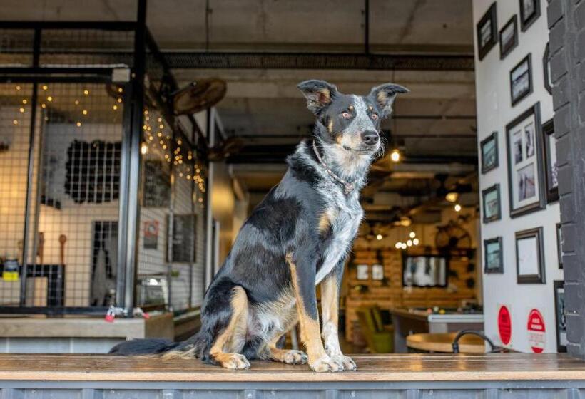 Общежитие Woopi Backpackers