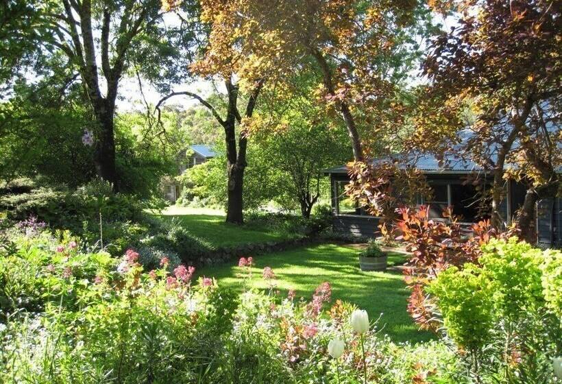 בית מלון כפרי Braeside Mount Macedon Country Retreat Bed And Breakfast