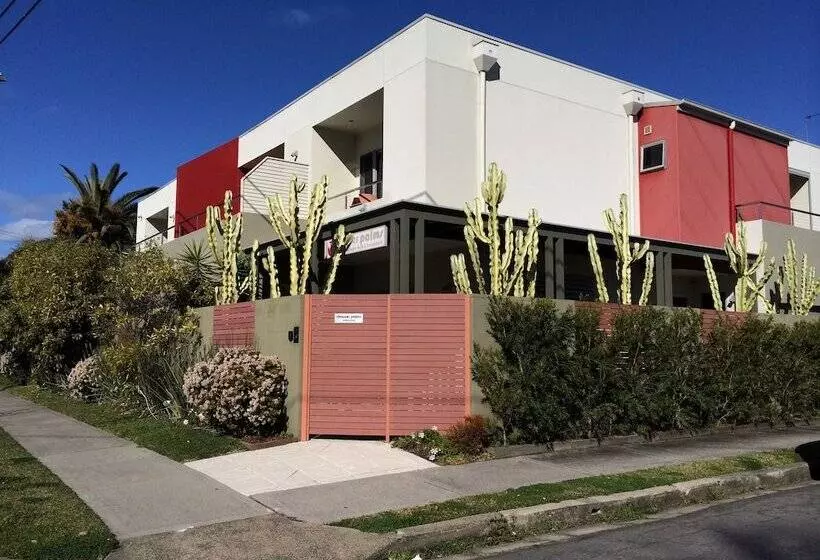 ペンション Chaucer Palms Boutique B&b