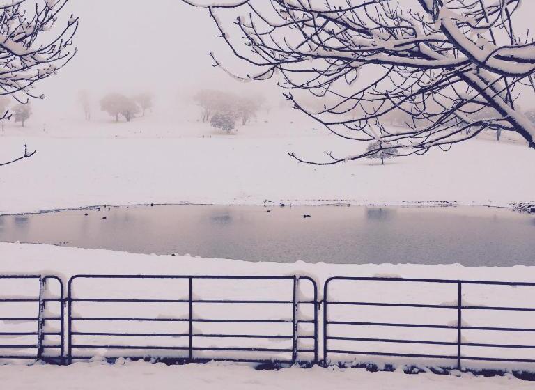 ペンション Drayshed Cottage