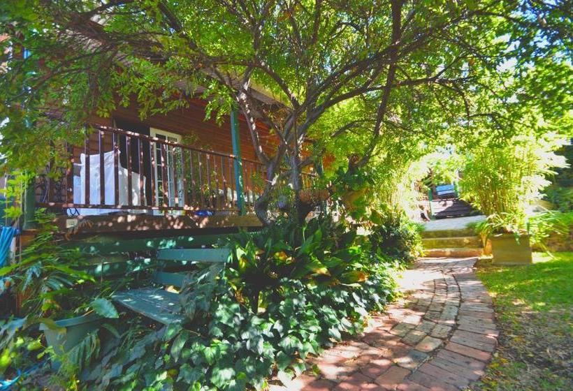 Rosemoore Bed & Breakfast