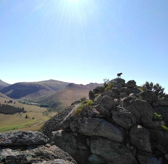 Hotel Lowestoffe Country Lodge Trout