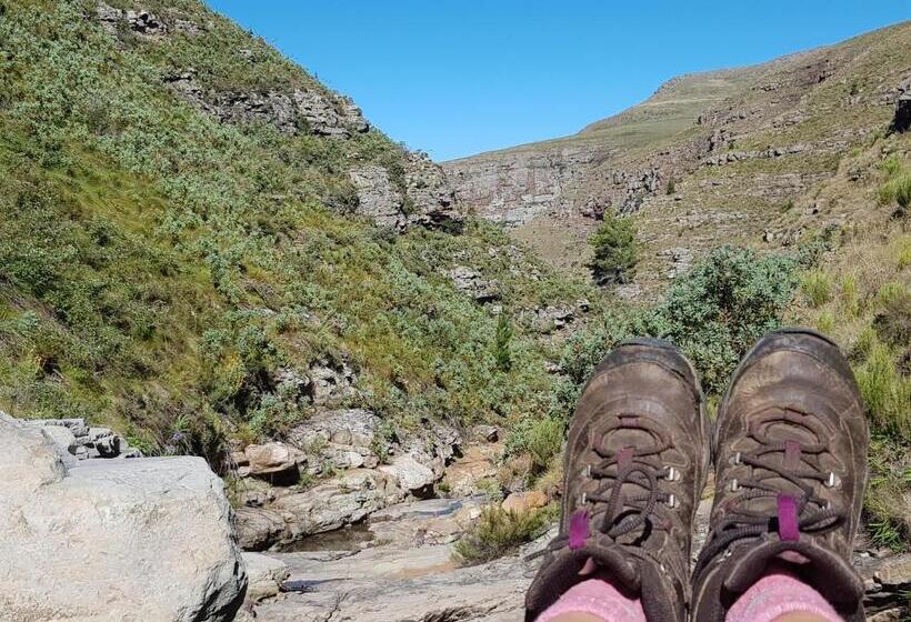 Hotel Lowestoffe Country Lodge Trout