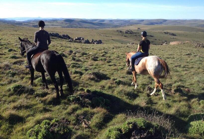 Hotel Lowestoffe Country Lodge Trout