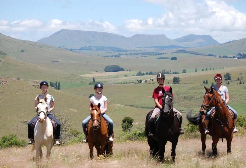Hotel Lowestoffe Country Lodge Trout