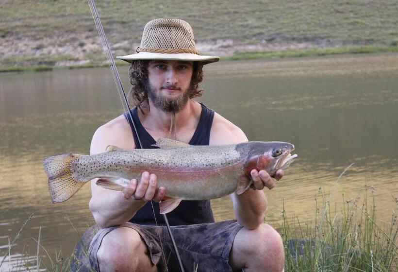 Hotel Lowestoffe Country Lodge Trout