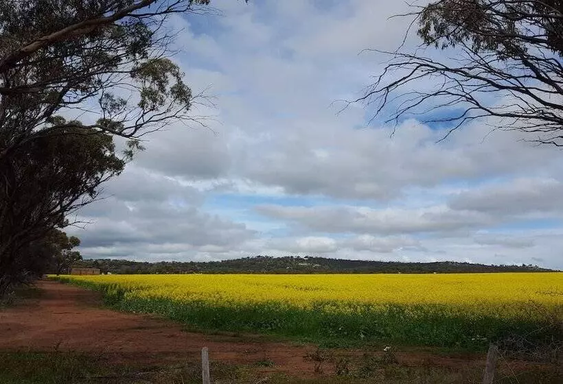 Hotelli The York Palace Accommodation