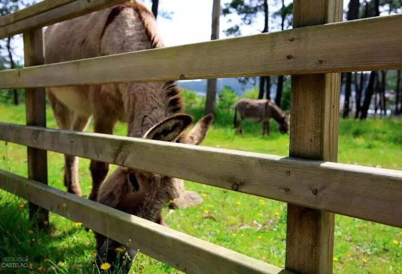 Majatalo Habitaciones Castelao