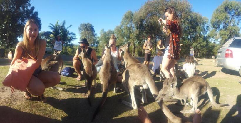 Escape 1770 Motel No Kids No Smoking No Partying