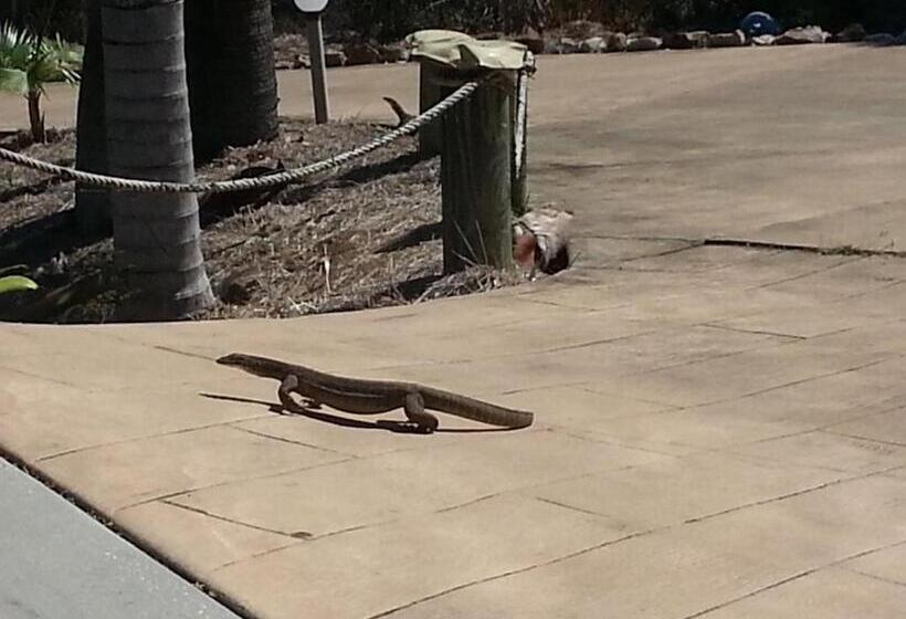 Escape 1770 Motel No Kids No Smoking No Partying