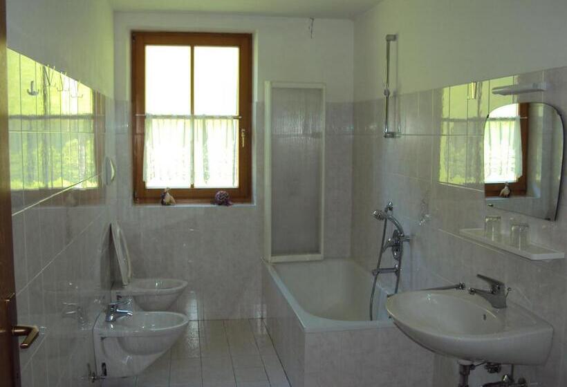 Hotel Aussersalfnerhof