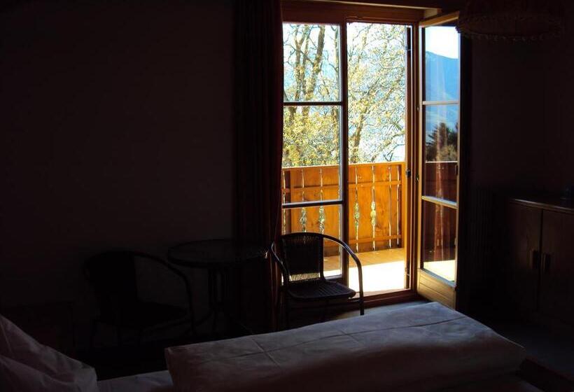 Hotel Aussersalfnerhof