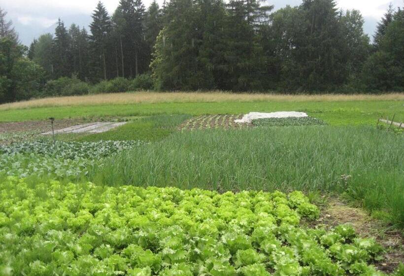 Hotel Aussersalfnerhof