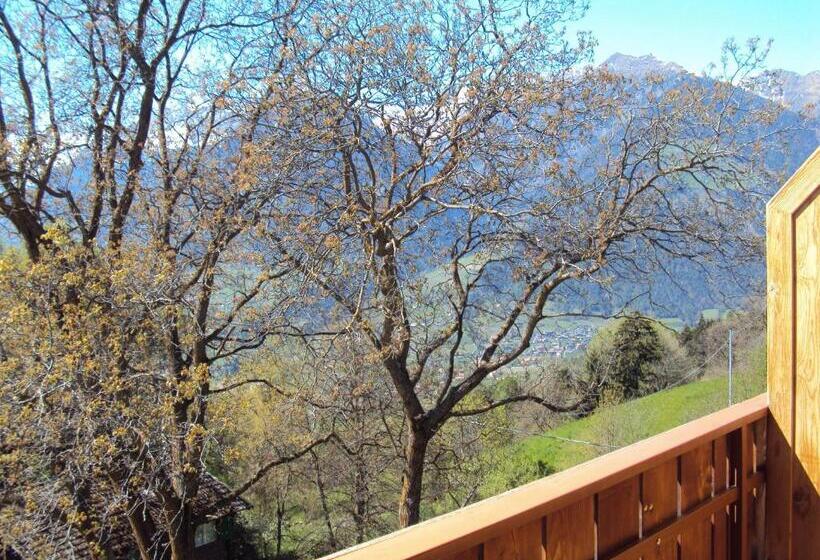 Hotel Aussersalfnerhof