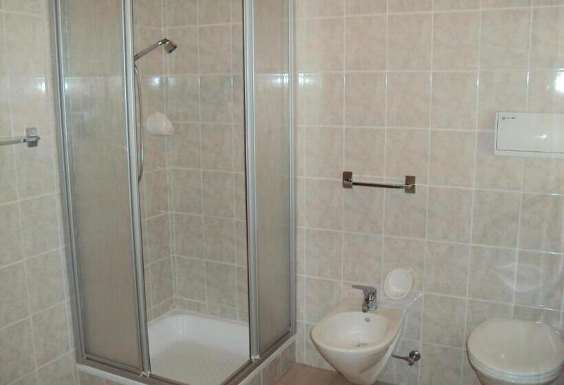 Hotel Aussersalfnerhof