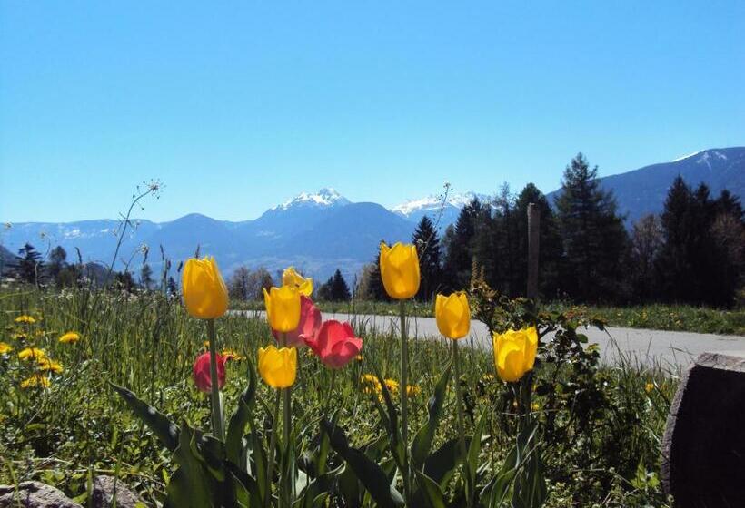 Hotel Aussersalfnerhof