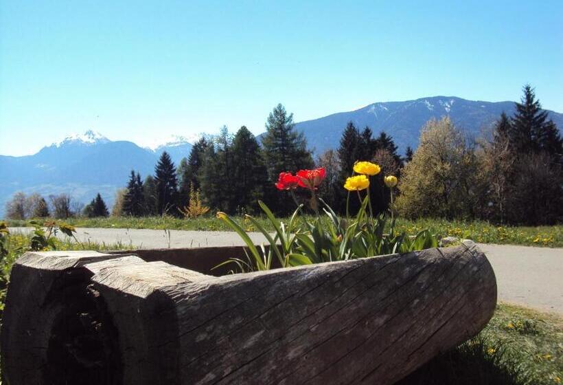 Hotel Aussersalfnerhof