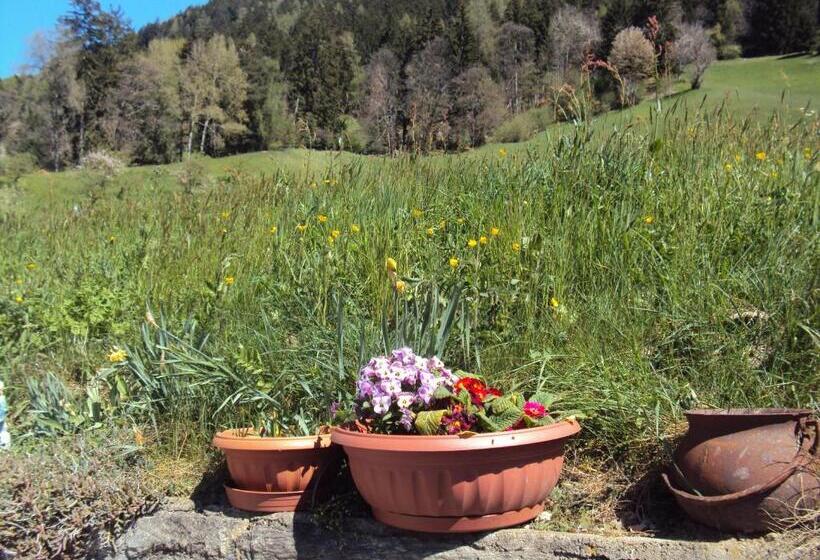 Hotel Aussersalfnerhof