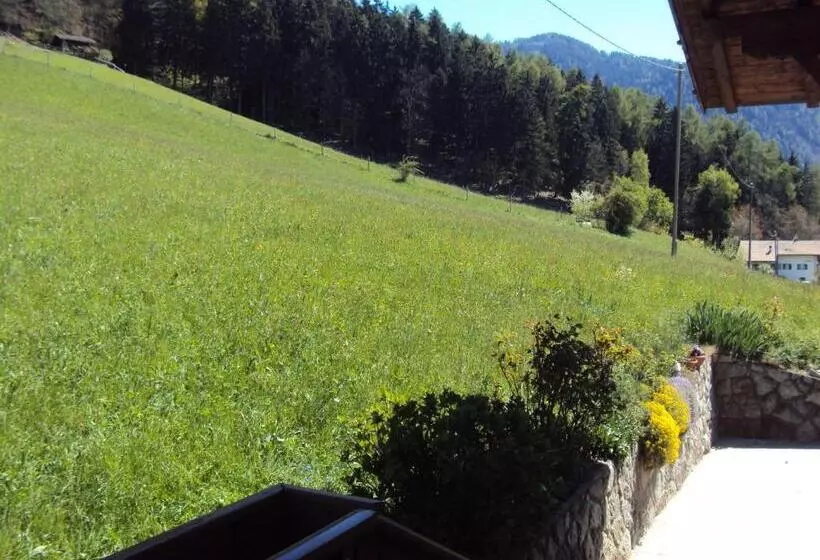 ホテル Aussersalfnerhof