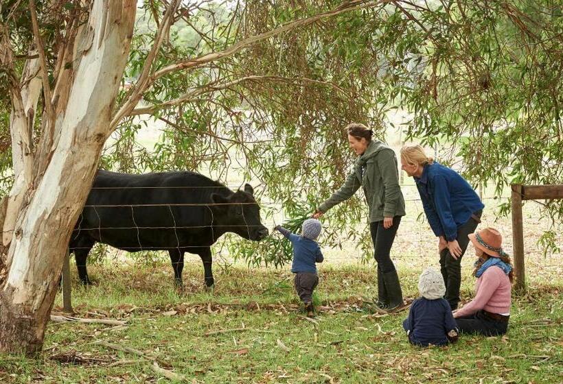 בית מלון כפרי Burnside Organic Farm