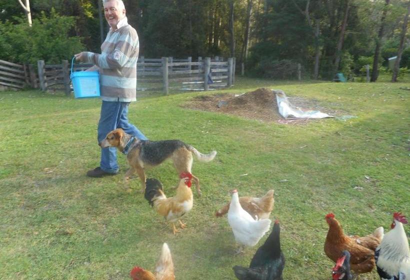 Отель Peacehaven Country Cottages