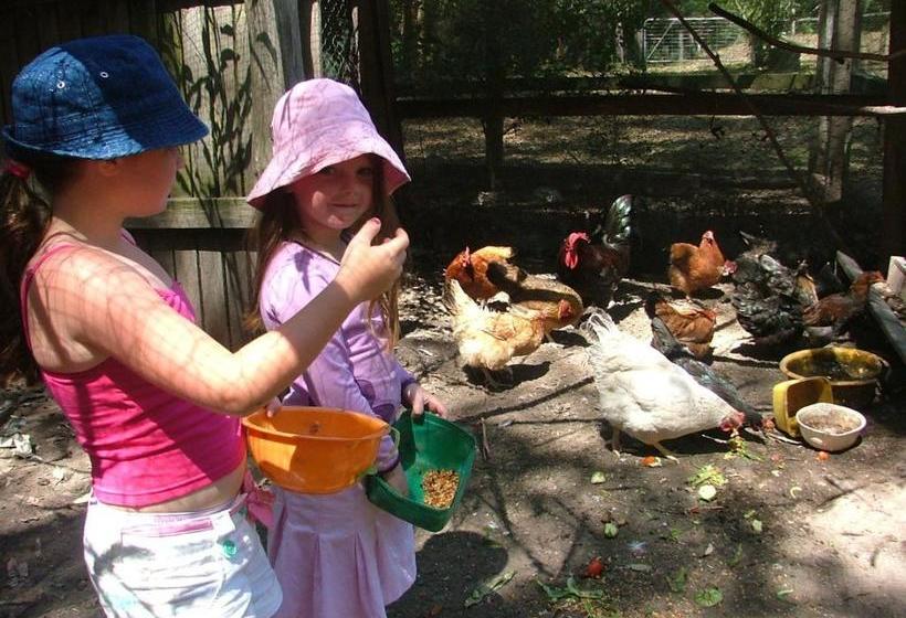 Отель Peacehaven Country Cottages