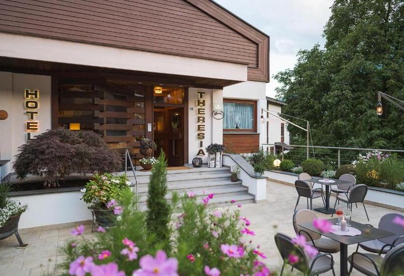 Отель Theresia