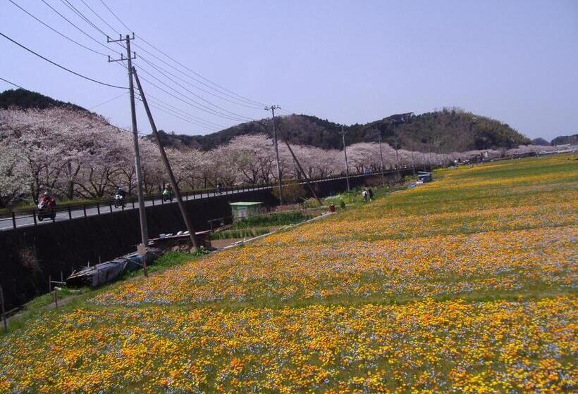 Рёкан Ishibu So