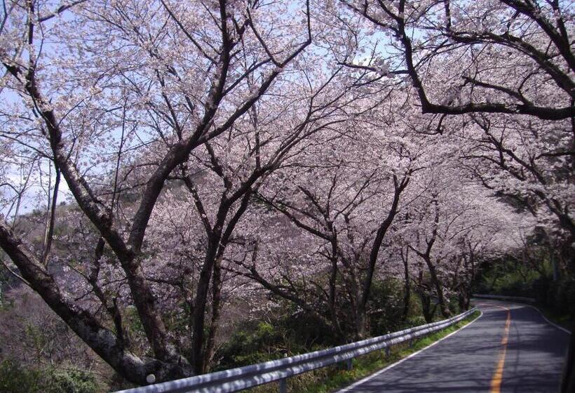 Рёкан Ishibu So