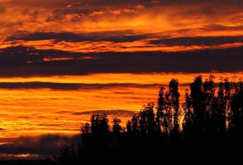 Ross B&b Accommodation