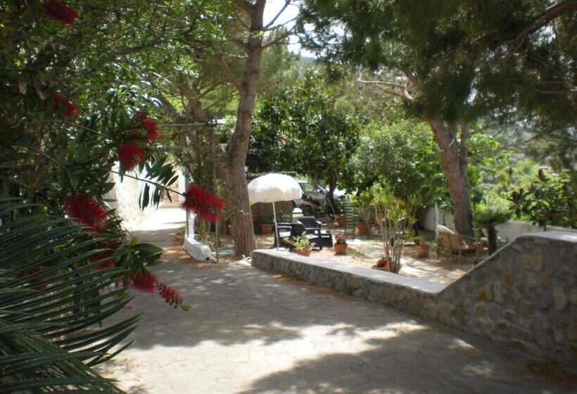 تختخواب و صبحانه Villa Pina