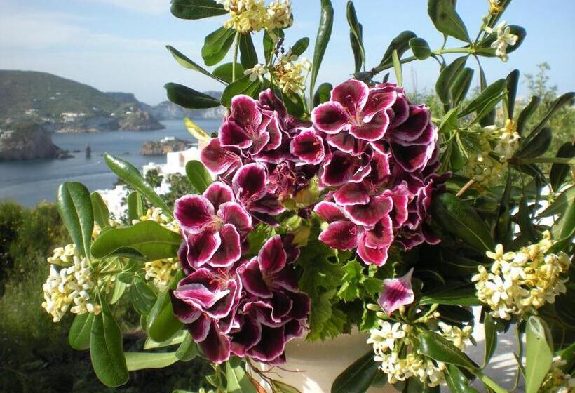 تختخواب و صبحانه Villa Pina