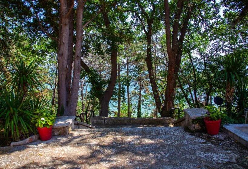 בית מלון כפרי Adis Holiday Inn