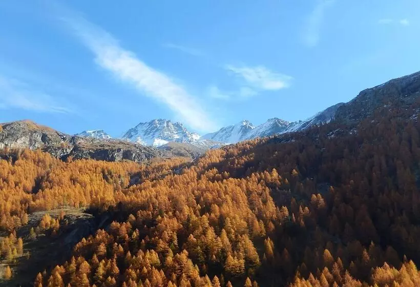 هتل Parco Nazionale