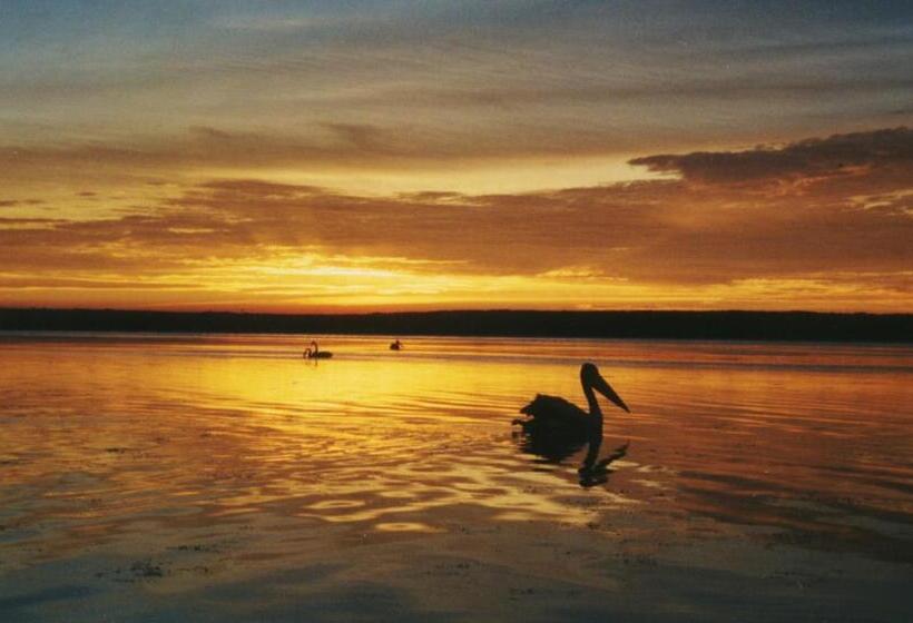 Мотель Sussex Shores