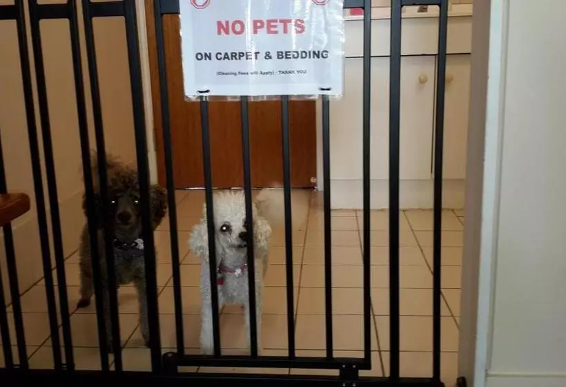 Ocean View Motel Bowen